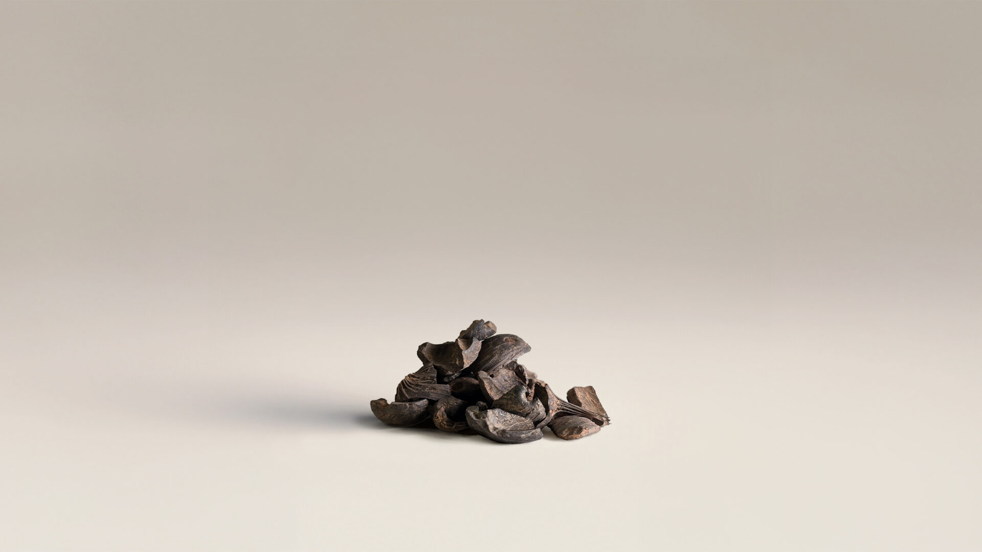 Palm Kernel Shells (PKS) biomass fuel — isolated close-up of dark brown shells