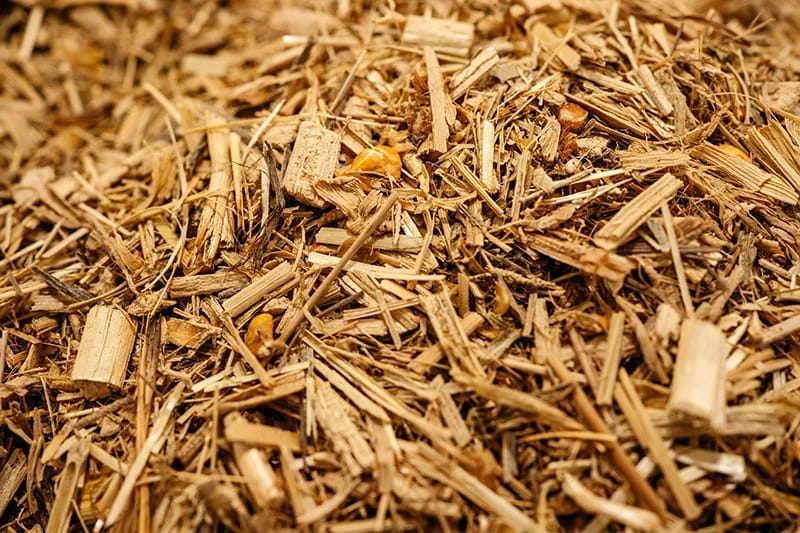 Sugarcane bagasse biomass fuel — fibrous residue after juice extraction