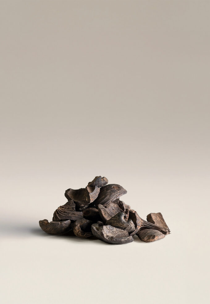 Palm Kernel Shell (PKS) biomass fuel — dark brown hard shells