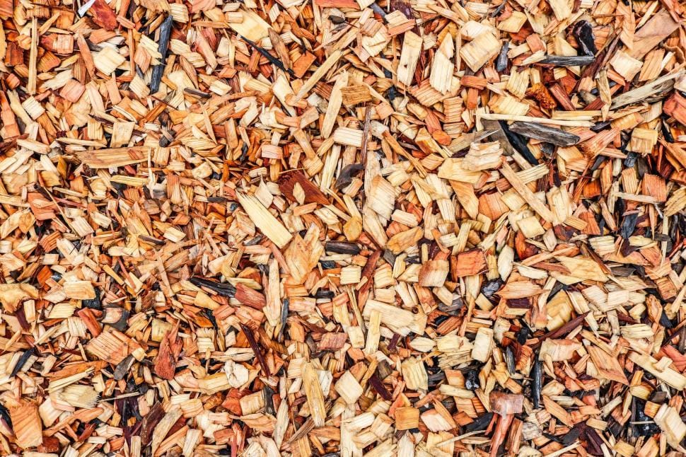 Wood chips biomass fuel — irregular chopped wood fragments