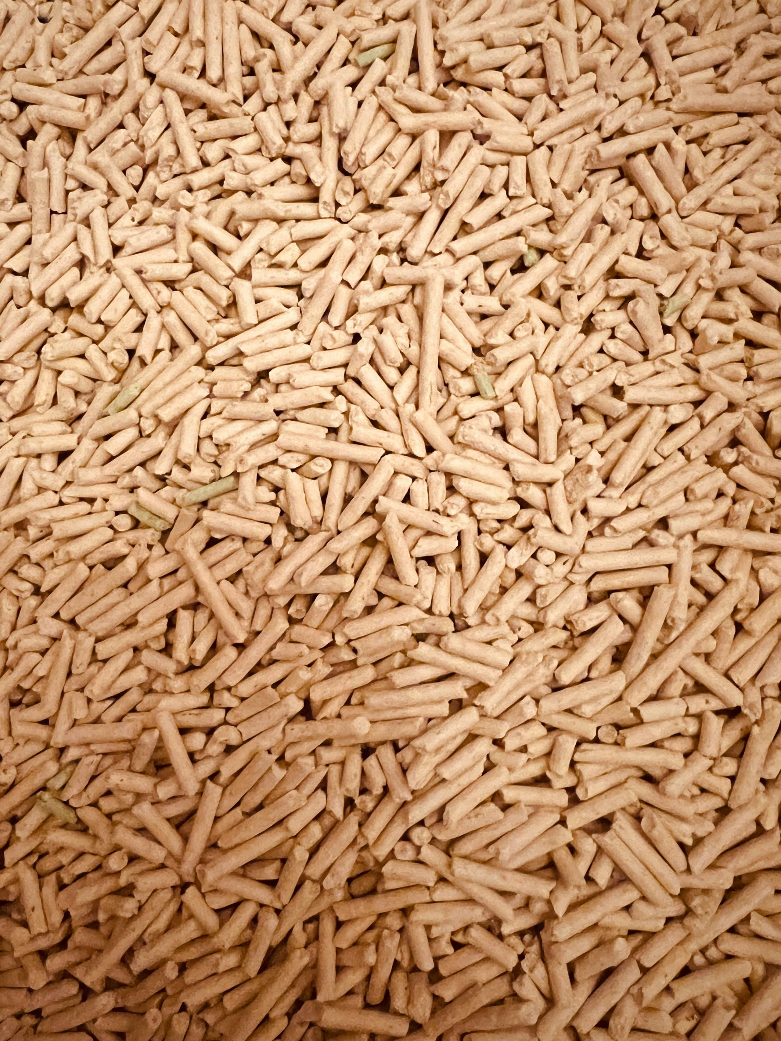 Industrial wood pellets biomass fuel — cylindrical compressed pellets